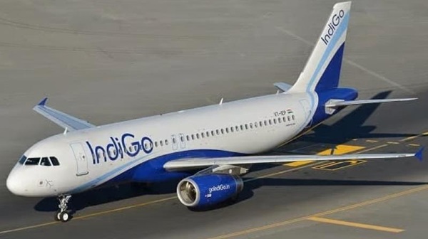 Indigo plane