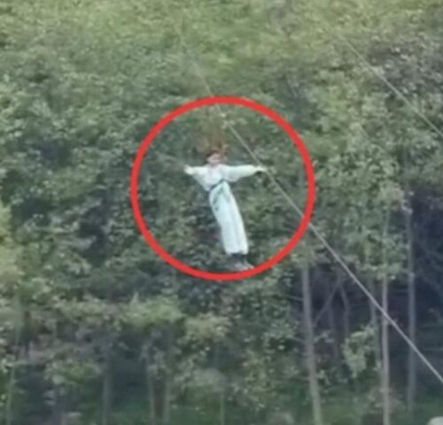 zip line broke