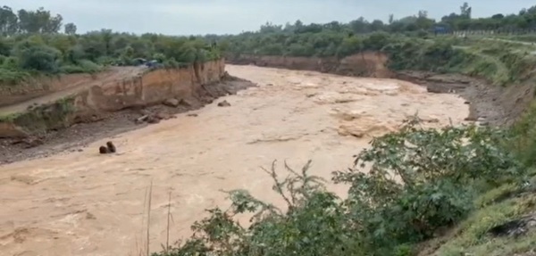 Pathankot-Rain