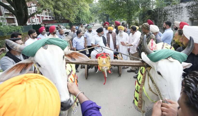 Traditional village games