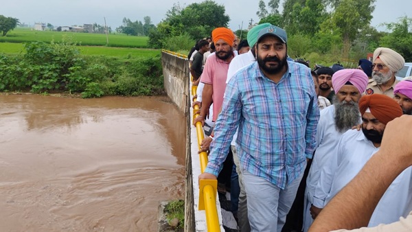AAP MLA