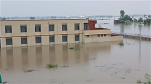 Navodaya Vidyalaya