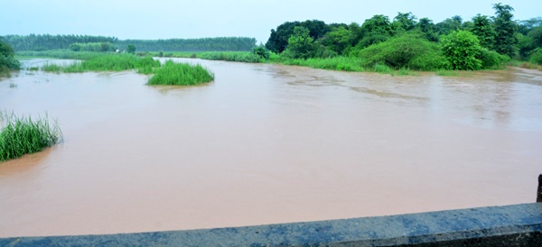 Tangri River