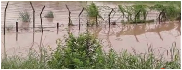 barbed wire