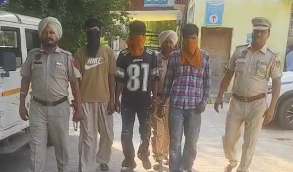Theft arrested