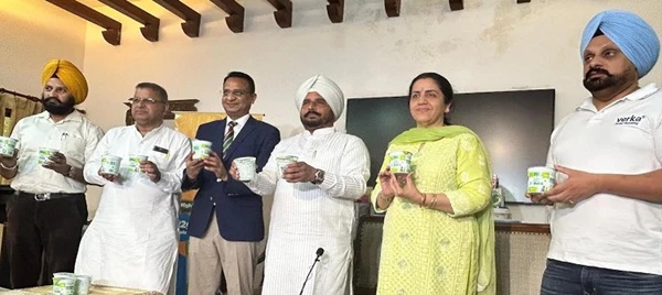Verka Dahi Launch