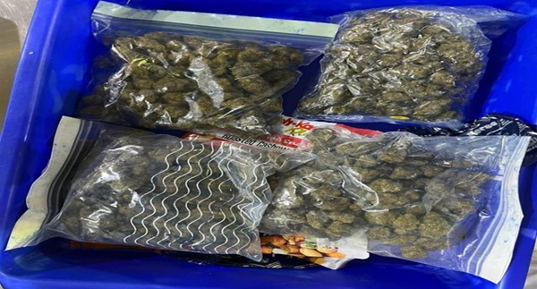 ganja
