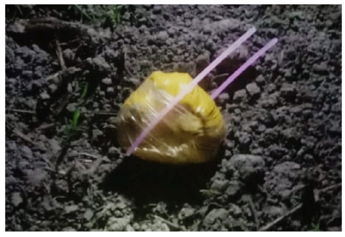 India-Pakistan border