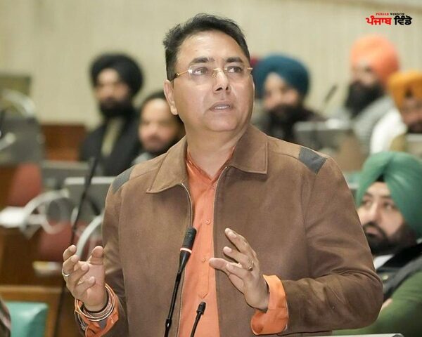 ਅਮਨ ਅਰੋੜਾ