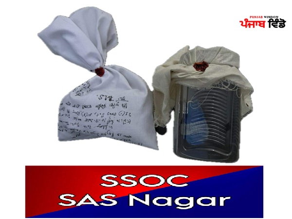 ਐੱਸ.ਏ.ਐੱਸ, ਨਗਰ