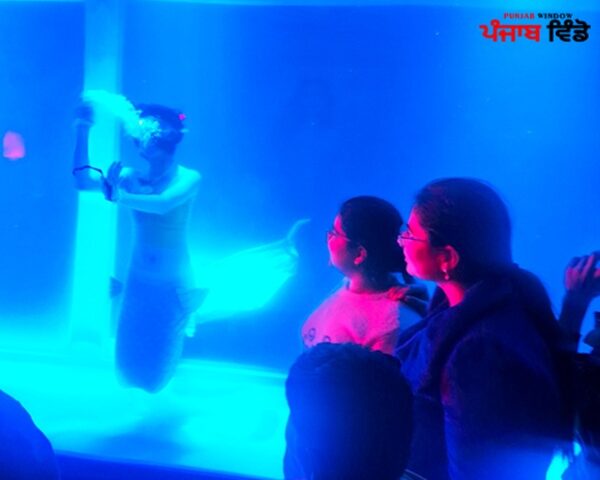 ਕਾਰਨੀਵਾਲ