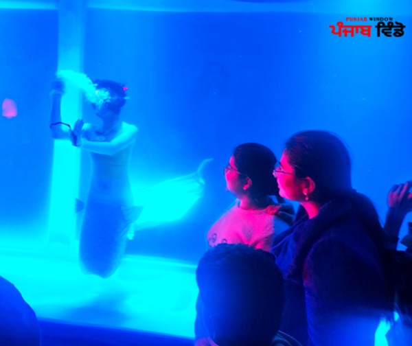 ਕਾਰਨੀਵਾਲ