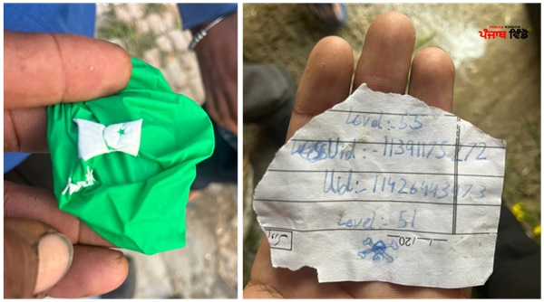 ਪਾਕਿਸਤਾਨੀ ਗੁਬਾਰਾ