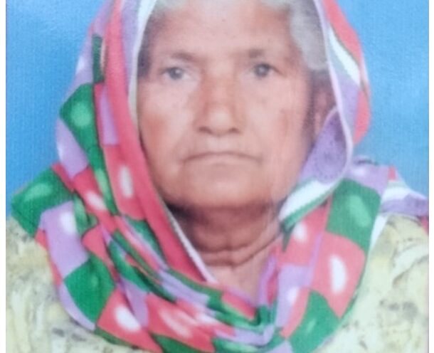 ਬਜ਼ੁਰਗ ਮਹਿਲਾ