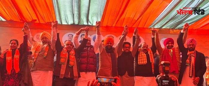 ਨਾਇਬ ਸੈਣੀ