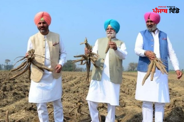 Congress MLA Rana Gurjit Singh