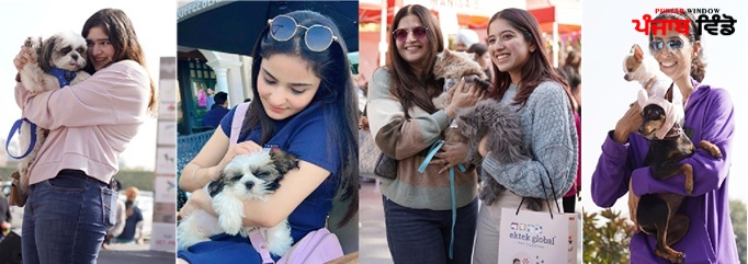 'Bark and Swagger Pets Show