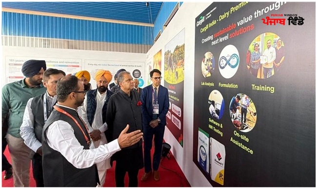 ਡੇਅਰੀ-ਫੀਡ-ਪਲਾਂਟ