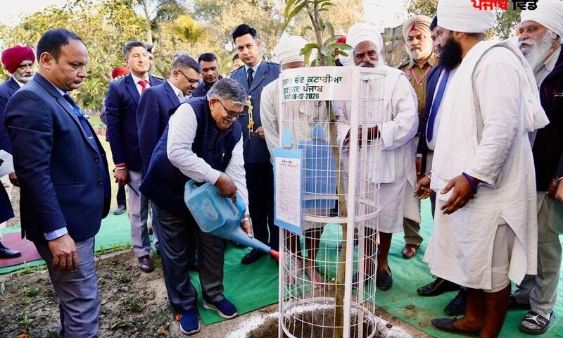 ਰਾਜਪਾਲ ਕਟਾਰੀਆ