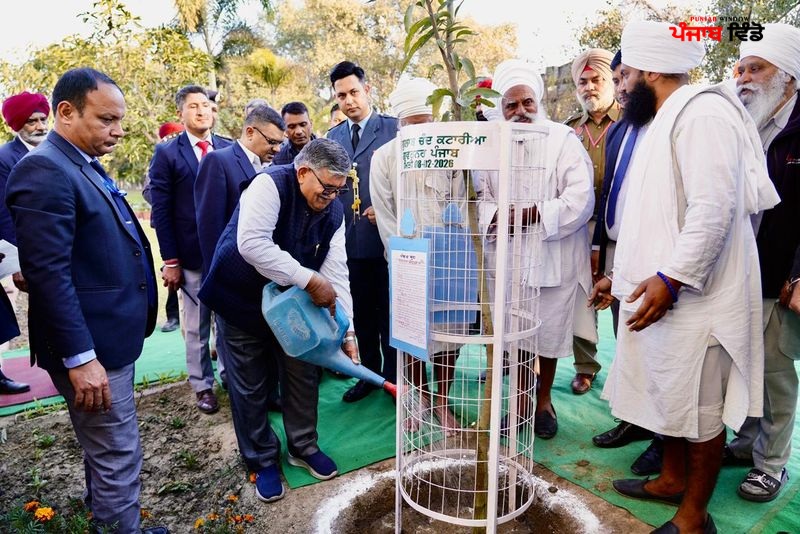 ਰਾਜਪਾਲ ਕਟਾਰੀਆ