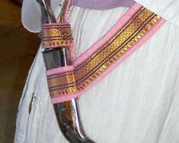 ਸਿੱਖ ਵਿਦਿਆਰਥੀ