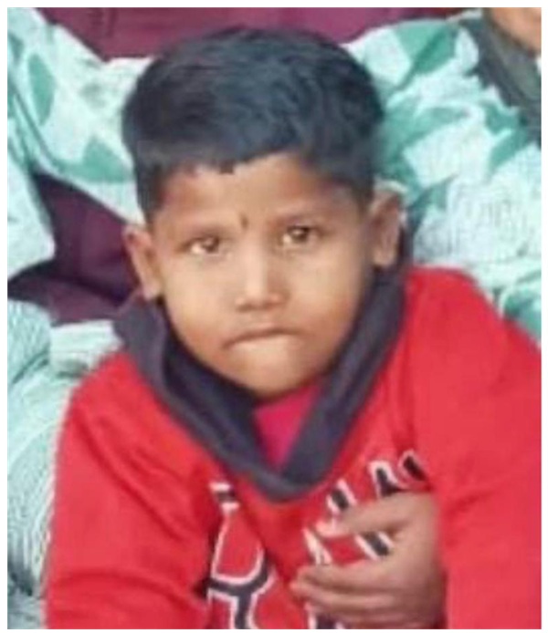 bacha