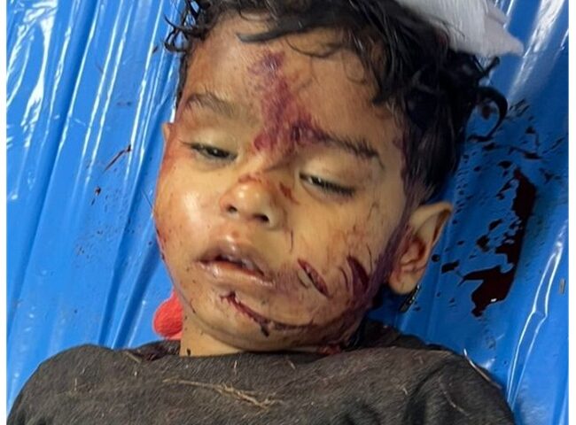 ਦਰਦਨਾਕ ਹਾਦਸਾ