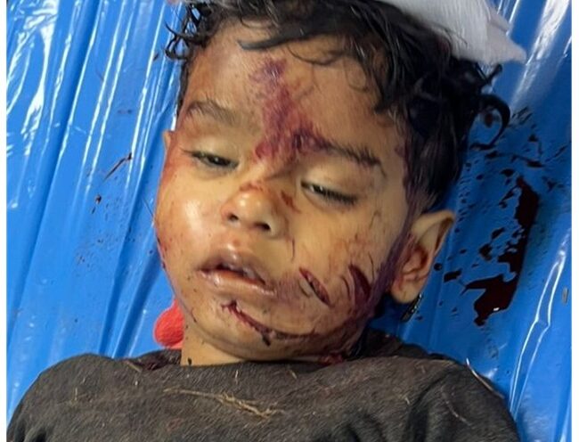 ਦਰਦਨਾਕ ਹਾਦਸਾ