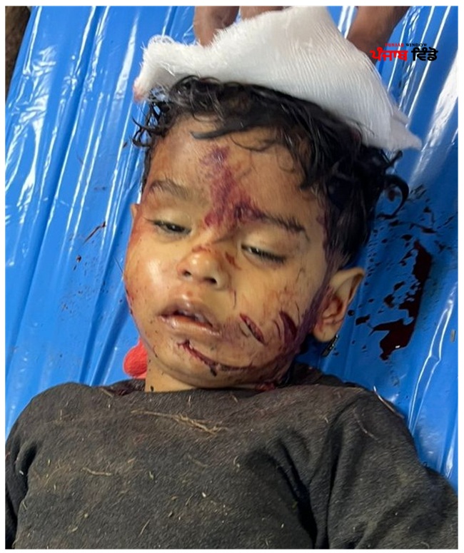 ਦਰਦਨਾਕ ਹਾਦਸਾ