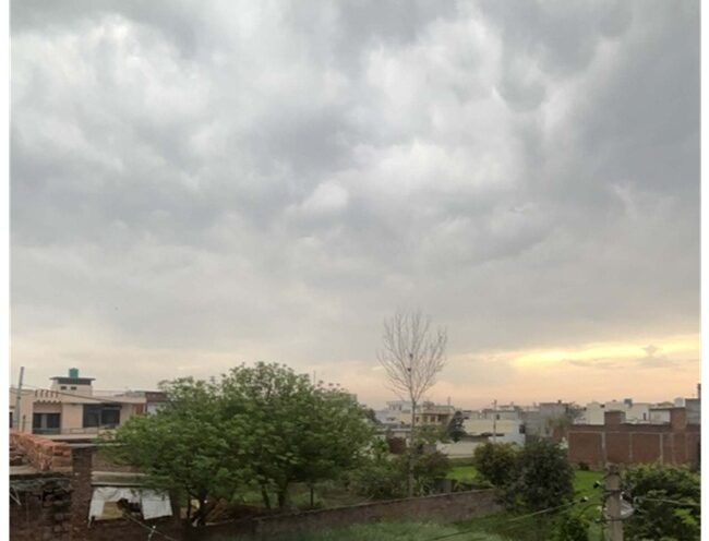 ਮੌਸਮ ਵਿਭਾਗ