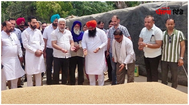 ਟਾਡਾ ਮੰਡੀ