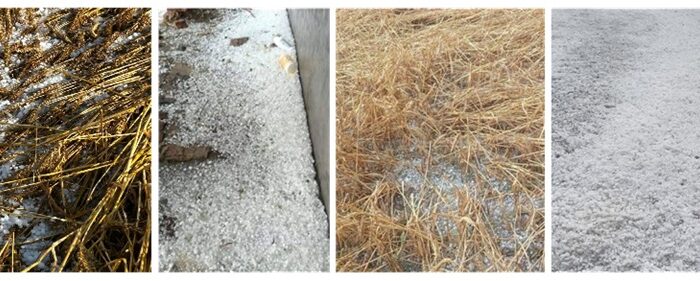 ਮੌਸਮ-ਫਸਲ