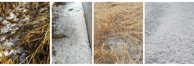 ਮੌਸਮ-ਫਸਲ