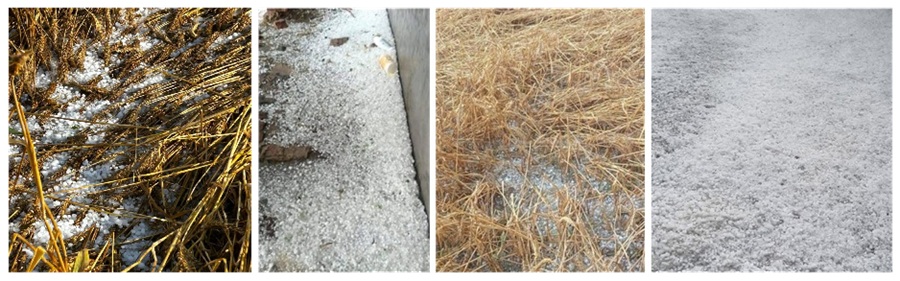 ਮੌਸਮ-ਫਸਲ